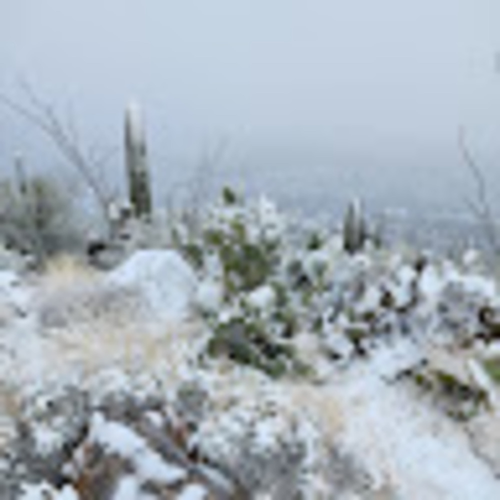 Meet your Posher, Brenda